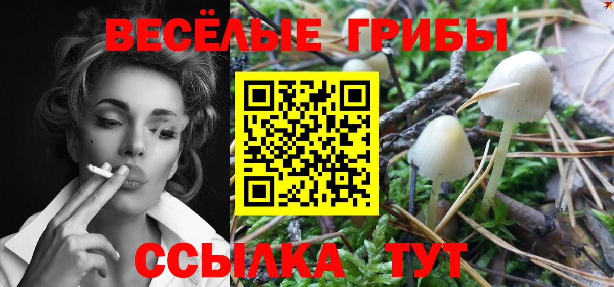 Сертолово  Псилоцибиновые грибы Psilocybine cubensis  Вход с VPN  Псилоцибиновые грибы мухоморы 