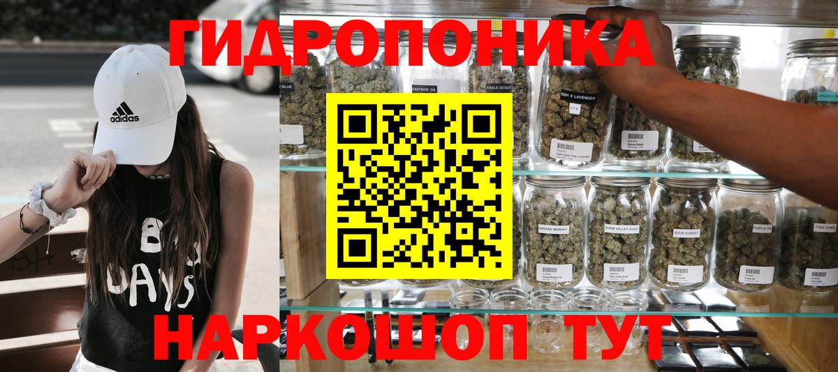 Бошки марихуана White Widow  Бошки марихуана план  Сертолово  Канабис марихуана  Вход с VPN  Бошки Шишки конопля 